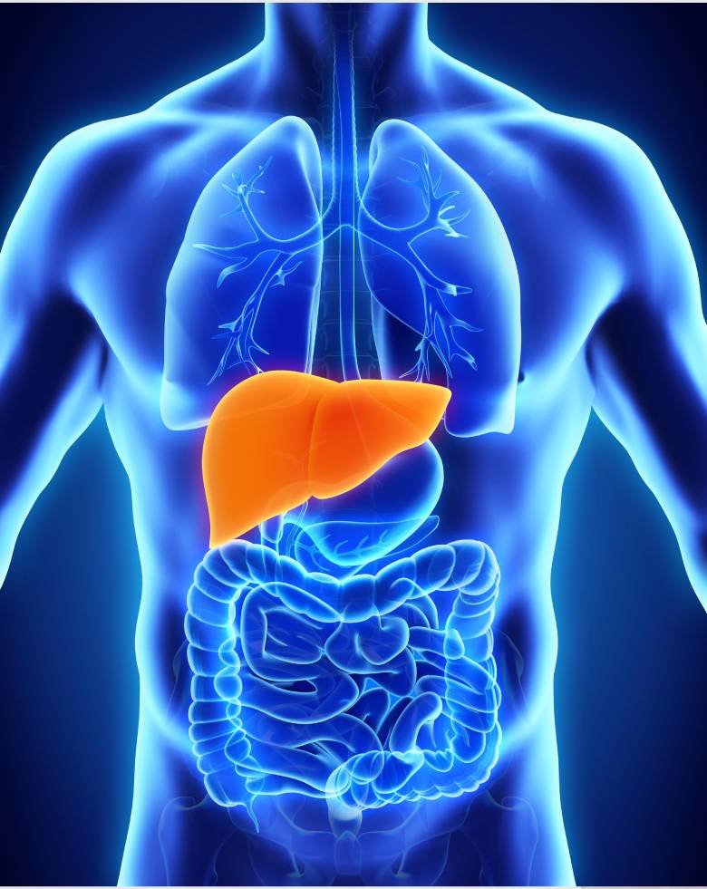 Liver Function Test1